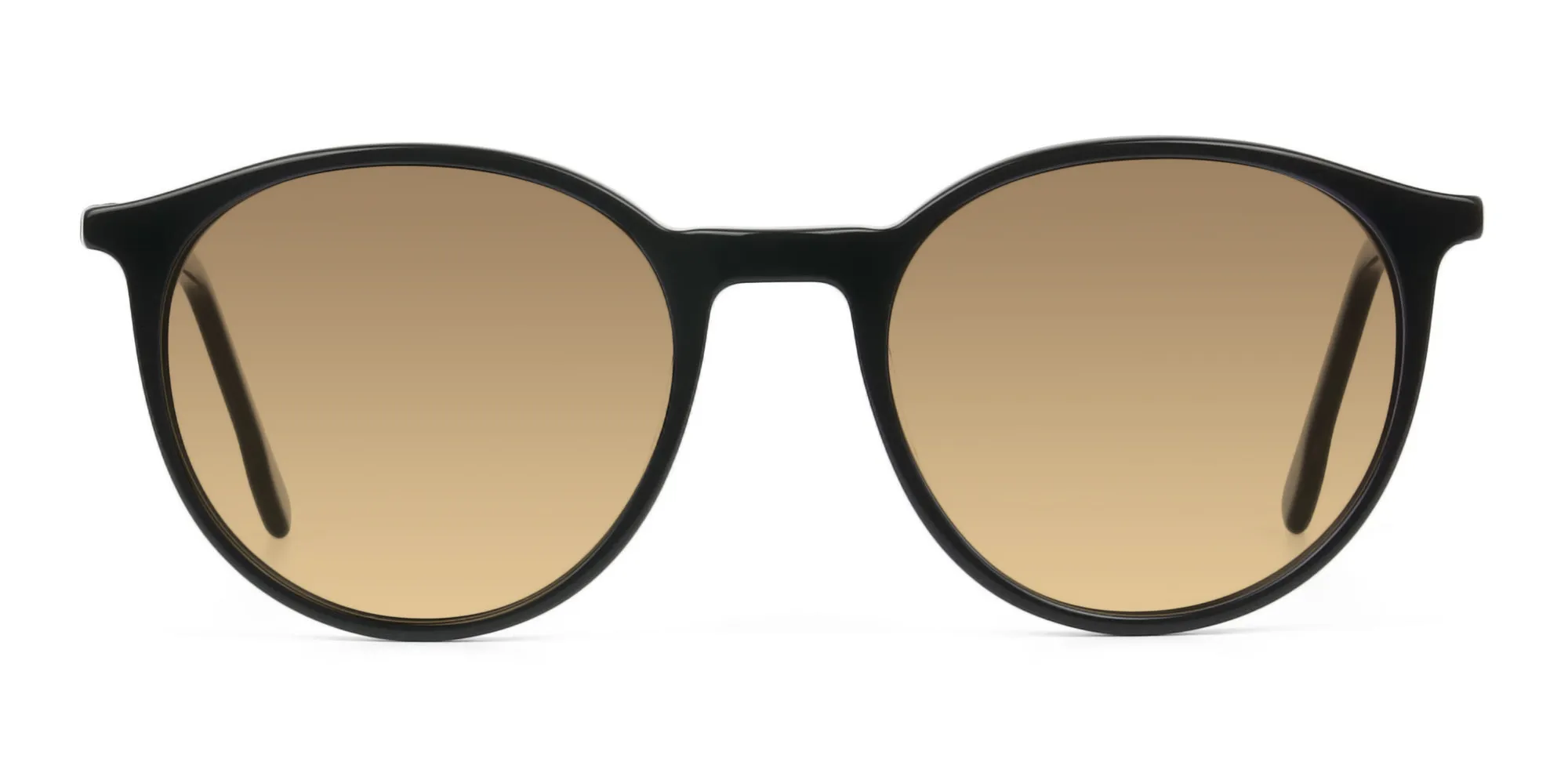 Dark-brown-black-round-sunglasses - 2