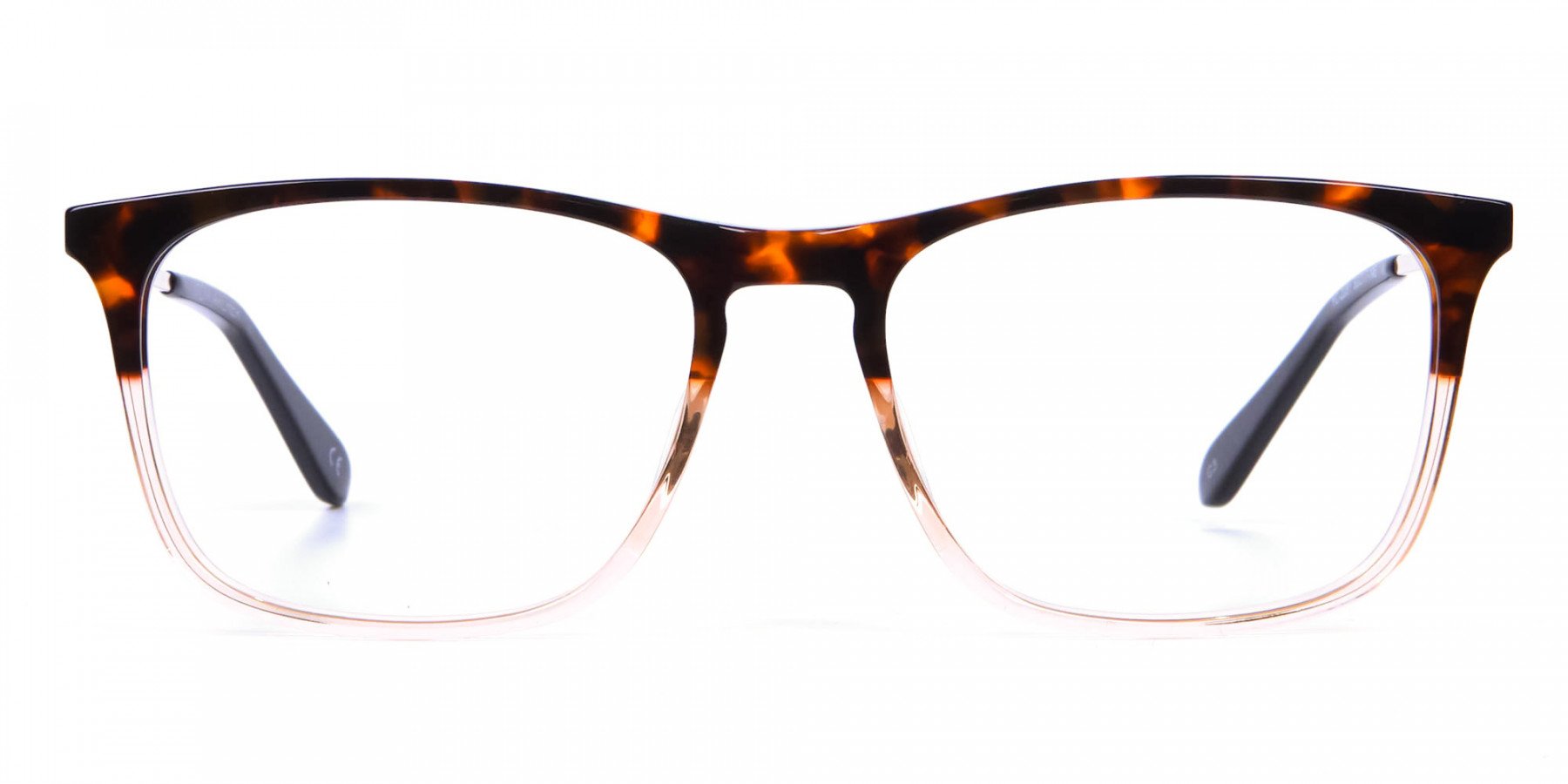 Tortoiseshell Rectangular Dual-Toned Glasses