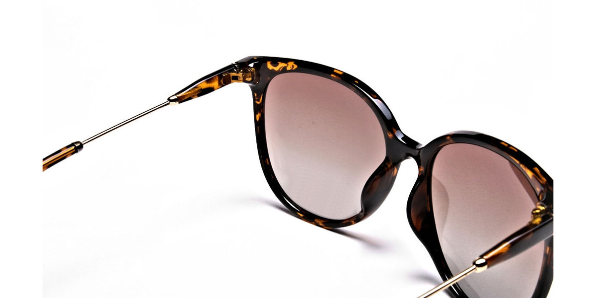 Tortoiseshell sunglasses -2