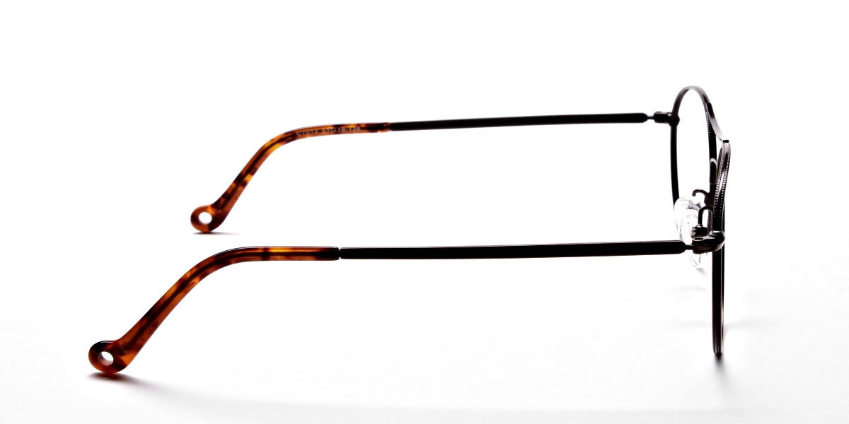 Brown Metal Eyeglasses -1
