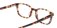 Havana & Tortoiseshell Wayfarer Glasses