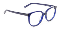Clever Look with Navy Blue Frame