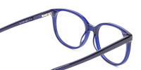 Clever Look with Navy Blue Frame