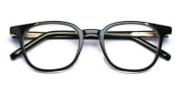 Clear Black Glasses-1