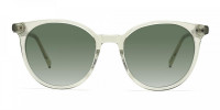 green tint glasses-1