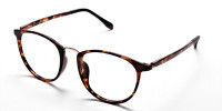 Havana & Tortoise Transparent Glasses