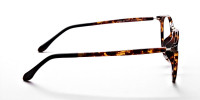 Havana & Tortoise Transparent Glasses