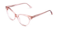 Crystal and Nude Cat Eye Glasses-1