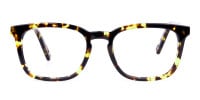 Tortoise Brown Wayfarer Glasses-1