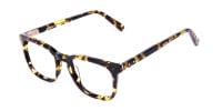 Tortoise Brown Wayfarer Glasses-1