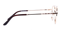 Brown Gold Aviator Glasses-1