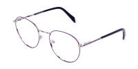 Dark Purple and Silver Round Glasses-1