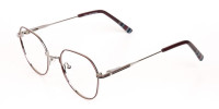 Red, Burgundy & Silver Wayfarer Metal Glasses-1