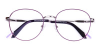 Purple and Silver Metal Round Glasses -1