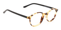 Tortoise and Black Round Eyeglasses Frame Unisex-1