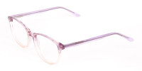  Crystal Purple & Apricot Rectangular Glasses-1