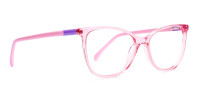 Crystal Clear or Transparent blossom and hot Pink Round Glasses Frames-1