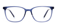 Navy Blue Wayfarer and Rectangular Glasses Frames-1