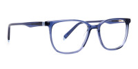 Navy Blue Wayfarer and Rectangular Glasses Frames-1