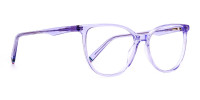 Light-Purple-Crystal-Cat-eye-Glasses-Frames-1