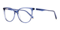 Blue-Transparent-Cat-eye-Glasses-Frames-1