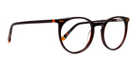 Dark Light Brown Designer Round Glasses frames-1