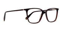 brown-glasses-in-rectangular-cat-eye-frames-1