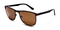Brown Wayfarer Sunglasses - 2