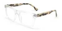 clear glasses with tortoiseshell sides-1