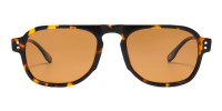 Brown Tint Tortoise Shell Sunglasses-1