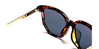 Classy Tortoiseshell Sunglasses -2