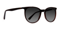 dark-brown-full-rim-grey-tinted-sunglasses-frames-3