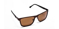 Brown Wayfarer Sunglasses for Men and Women - 2