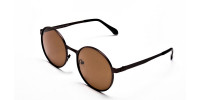 Brown Sunglasses in Round Online