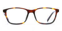 Wayfarer glasses in Tortoiseshell for Men & Women -1