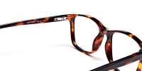 Wayfarer glasses in Tortoiseshell for Men & Women -1