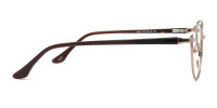 Round Brown Glasses Frames-1