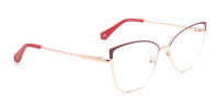 Red Cat Eye Metal Glasses-1