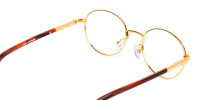 Gold and Brown Small Round Tortoiseshell Glasses-1