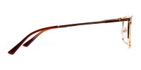 Dark Brown & Gold Rectangular Glasses-1