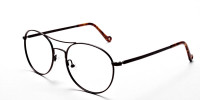 Brown Metal Eyeglasses -1