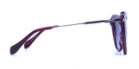 Red Sunglasses Cat Eye with Silver Temple -2