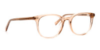 crystal clear or transparent brown round wayfarer glasses frames-1