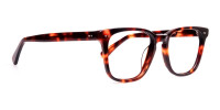 havana-and-tortoise-Shell-Wayfarer-glasses-frames-1