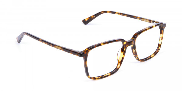  Havana & Tortoiseshell Glasses