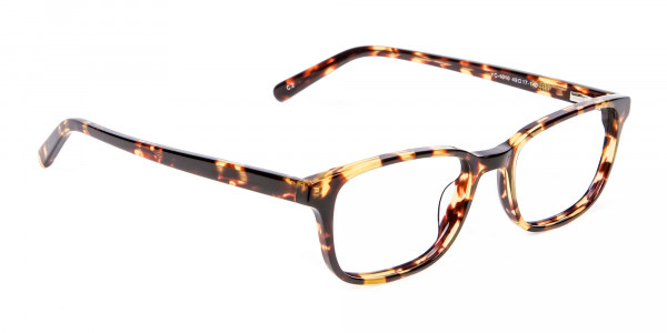 Havana & Tortoiseshell Wayfarer Glasses