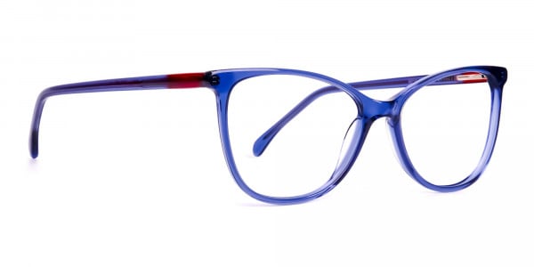 dark blue cat eye glasses-1