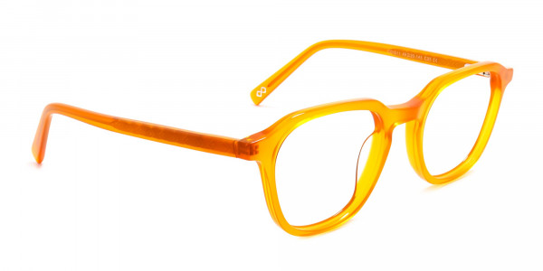 Orange Glasses Frames-1