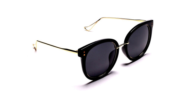 Dark & Chic Sunglasses -2