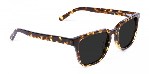 Oversized Square Sunglasses in Tortoiseshell  -3 